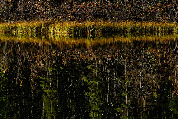 A reflection_Whitehorse 1