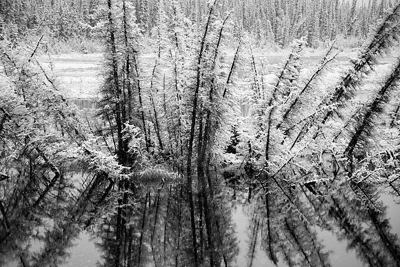 A Reflection_Kluane NP 1