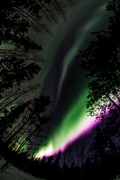 Northern Lights_Whitehorse 8