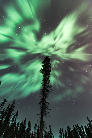 Northern Lights_Whitehorse 5