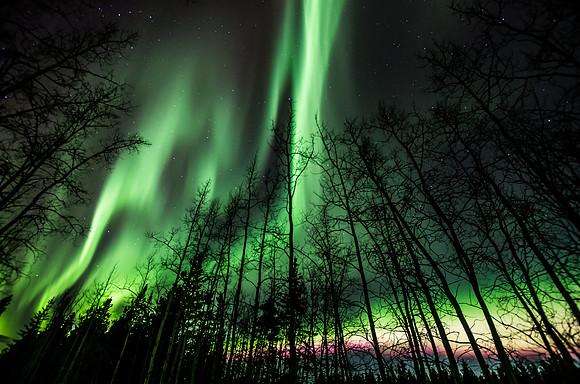 Northern Lights_Whitehorse 1