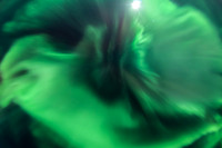 Northern Lights_Whitehorse 13