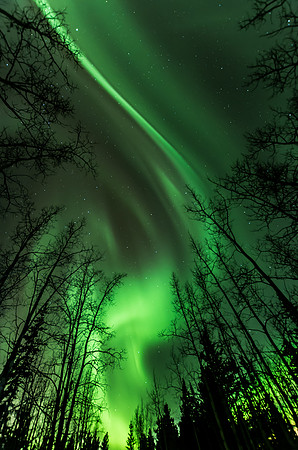 Northern Lights_Whitehorse 2