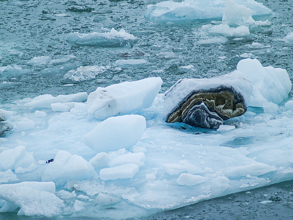 Drift-ice of Hubberd Glaier_Yakutat Bay 1