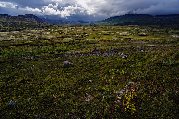 Haines Pass 1