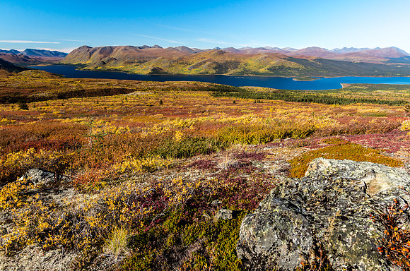 Fall Colours_Fish Lake_Whitehorse 3