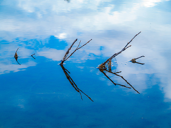 A Reflection_Denali National Park 1