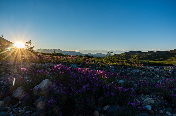 Sunrise_Tatshenshini-Alsek Provincial Park 2