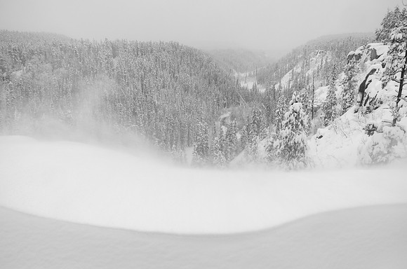 McIntyre Creek_Whitehorse 1