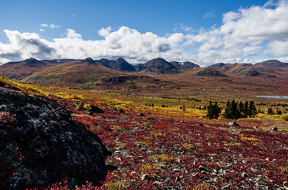 Fall Colours_Whitehorse 1