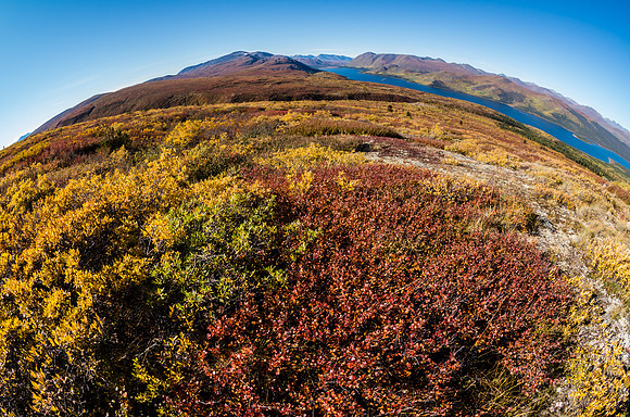 Fall Colours_Fish Lake_Whitehorse 2