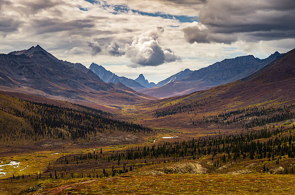 Fall Colours_Tombstone Territorial Park 1