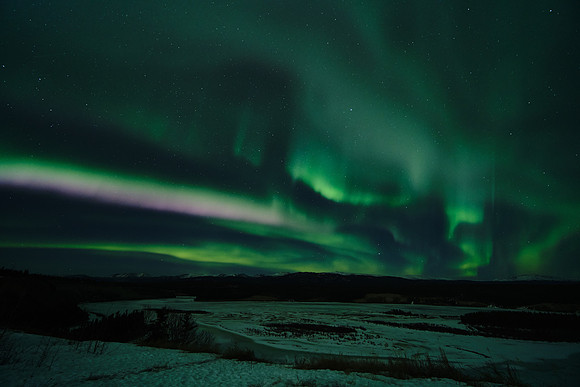 Northern Lights_Whitehorse 16